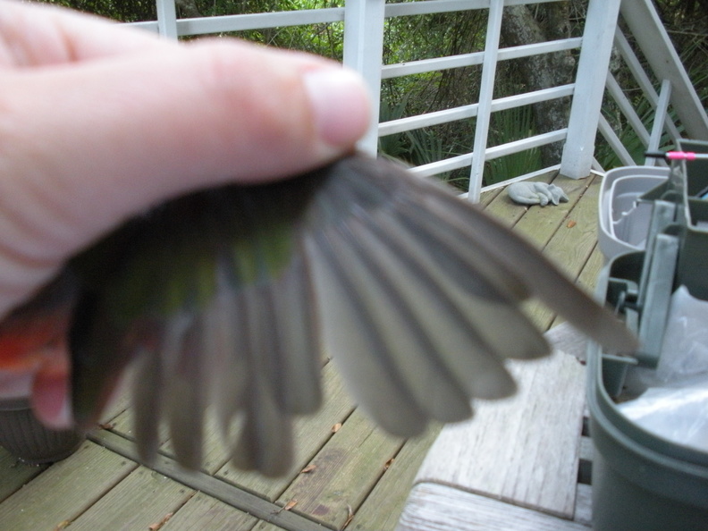 DSCN0732.jpg